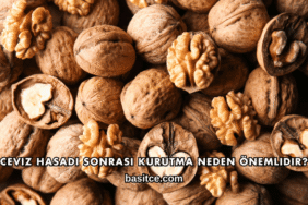 Ceviz Hasadı Sonrası Kurutma Neden Önemlidir?