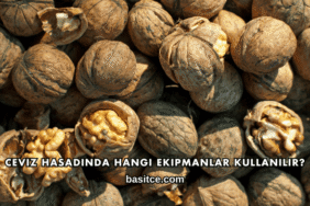 Ceviz Hasadında Hangi Ekipmanlar Kullanılır?