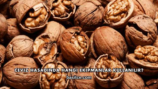 Ceviz Hasadında Hangi Ekipmanlar Kullanılır?