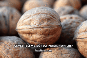 Ceviz İşleme Süreci Nasıl Yapılır?