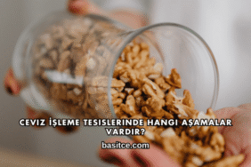 Ceviz İşleme Tesislerinde Hangi Aşamalar Vardır?
