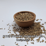 Hayıt Tohumu Zayıflatır mı